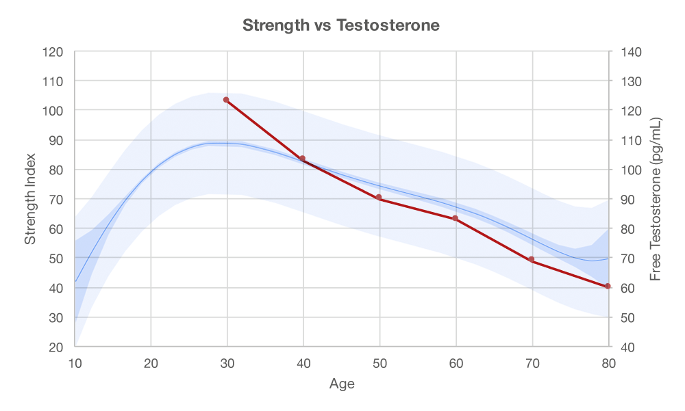 Weightlifting Age Chart